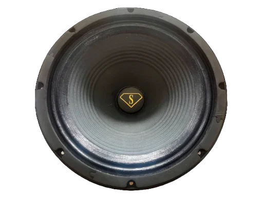 Adobe Express - file (8)